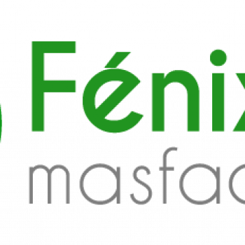 FÉNIX WEB 365 TIMBRES 